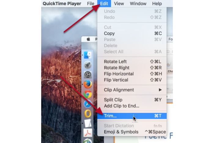 quicktime by flip for mac